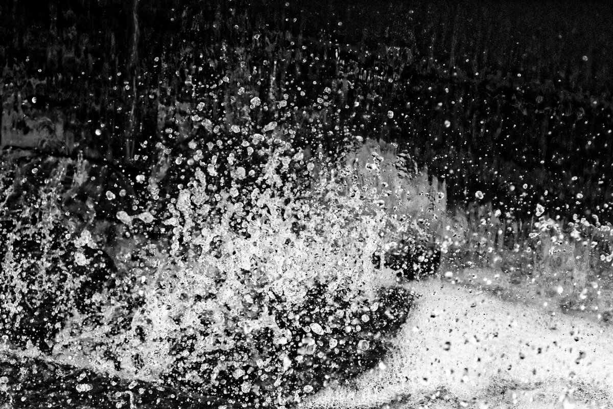 *** - Leon Bergman