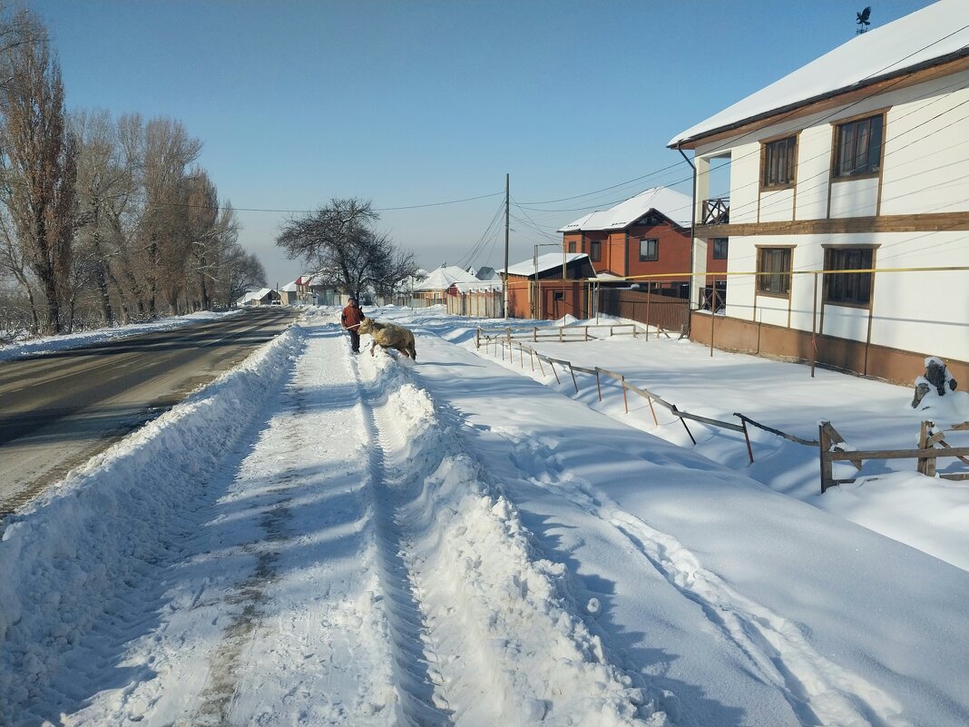 ...... - Murat Bukaev 