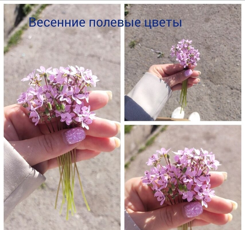 Весна пришла - Viktoriya Tuleganova