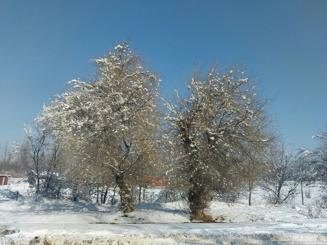 ..... - Murat Bukaev 