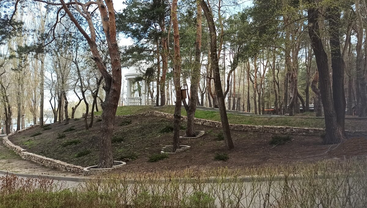 В парке - Gen Vel В парке - Gen Vel