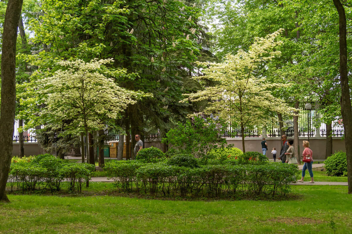 Парк в городе Гомель - Игорь Сикорский