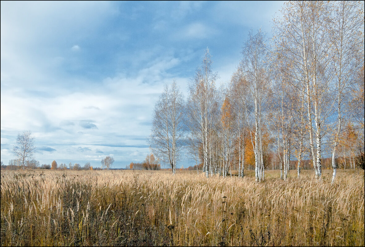 Осень - **** vedin