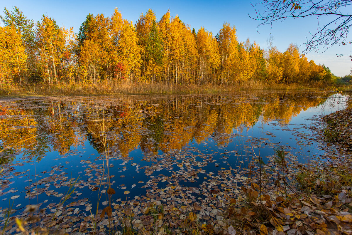 Осень - Александр Леонтьев