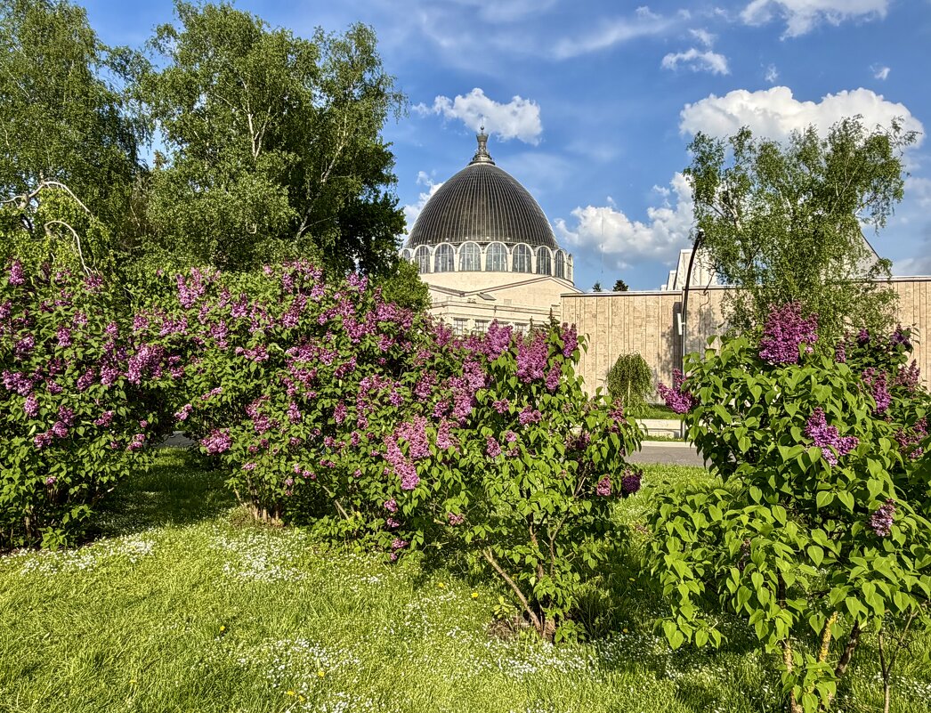 Время дышать сиренями… - Любовь 