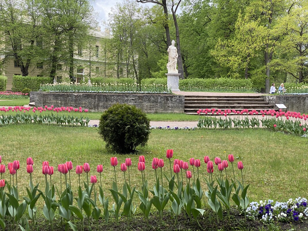 В Павловском парке. - Татьяна В Павловском парке. - Татьяна