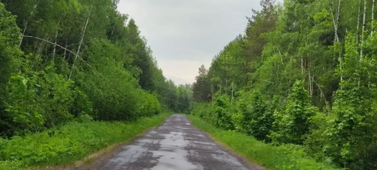 Напрасных путей не бывает. Все пути куда-то ведут - Ирэн 