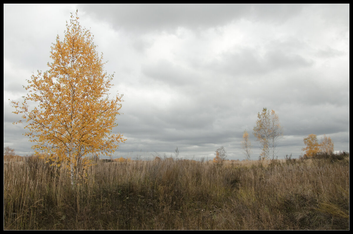 Осень - **** vedin Осень - **** vedin