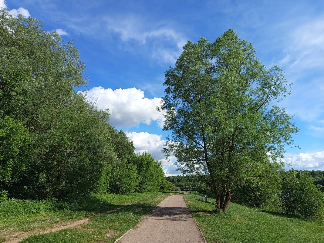Это май баловник, это май чародей - Андрей Лукьянов Это май баловник, это май чародей - Андрей Лукьянов
