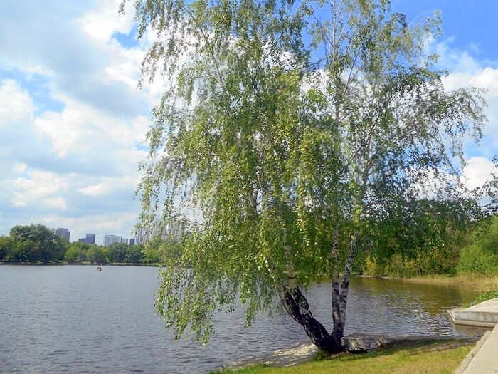 В усадьбе "Михалково" - Елена В усадьбе "Михалково" - Елена
