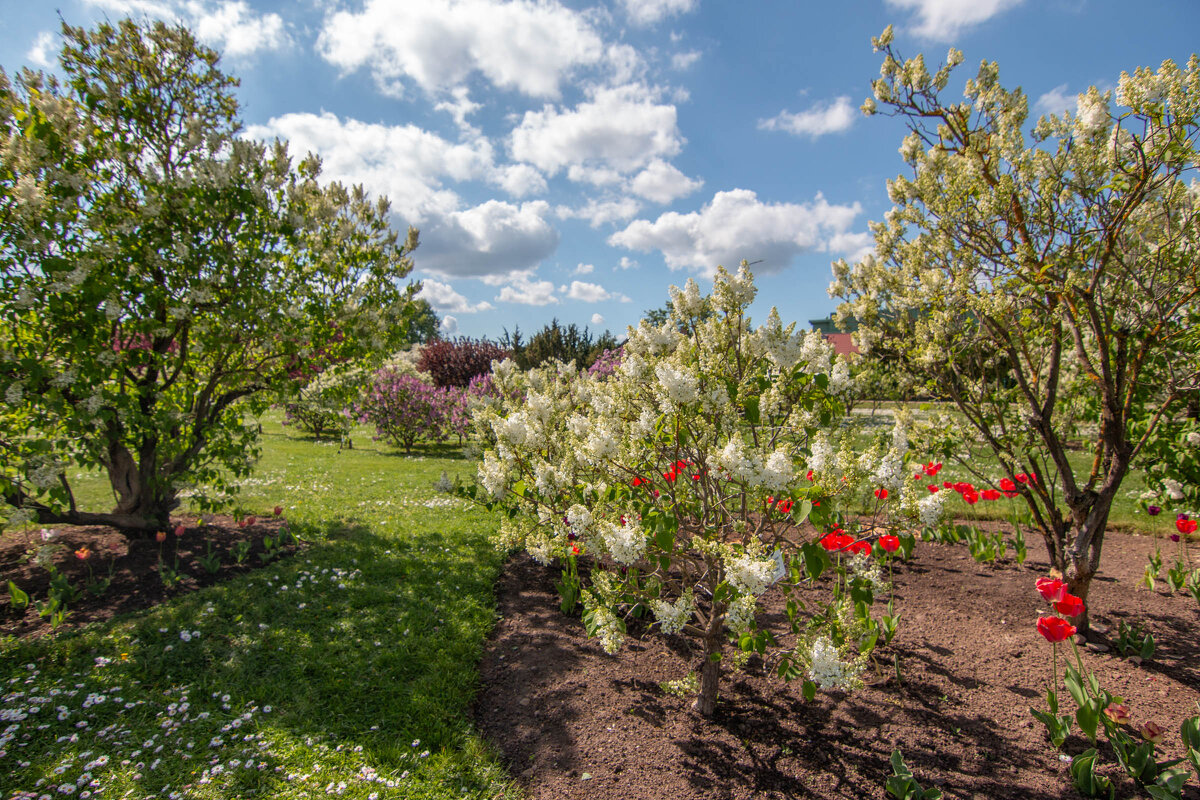 *** - Геннадий Порохов