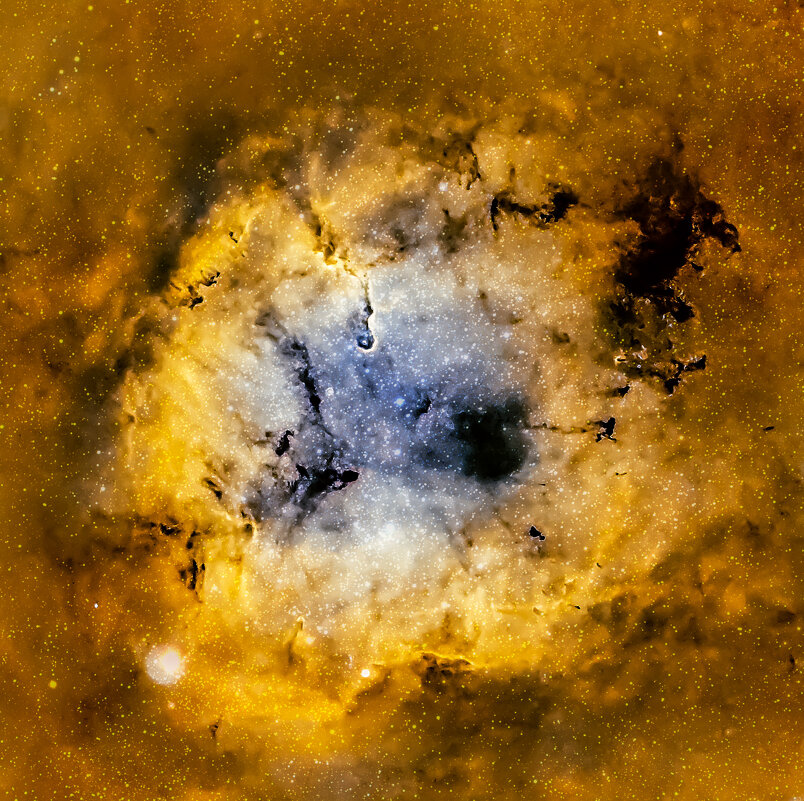 Хобот слона IC 1396 - Михаил Сипатов