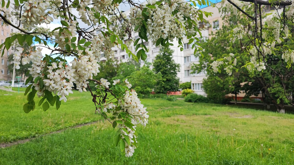 ,,, - Сергей Тимоновский