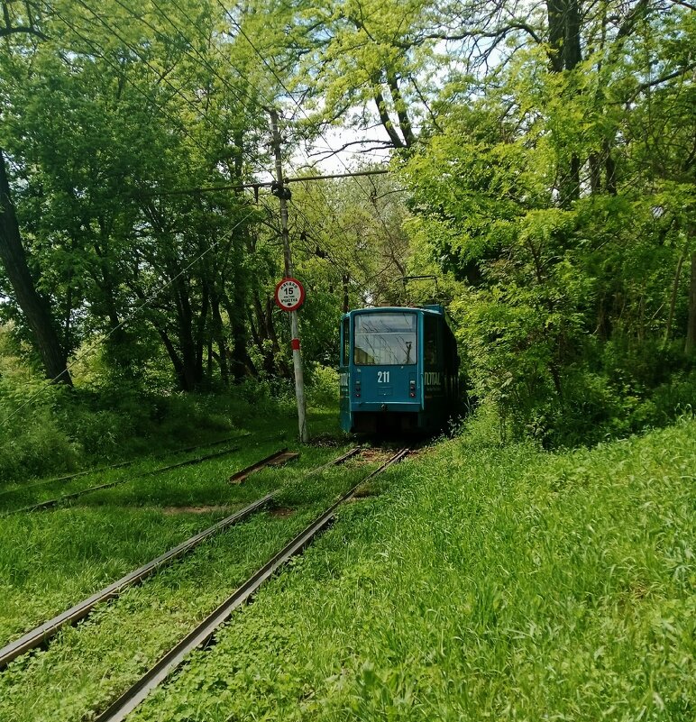 В зелени - Nataly St. 
