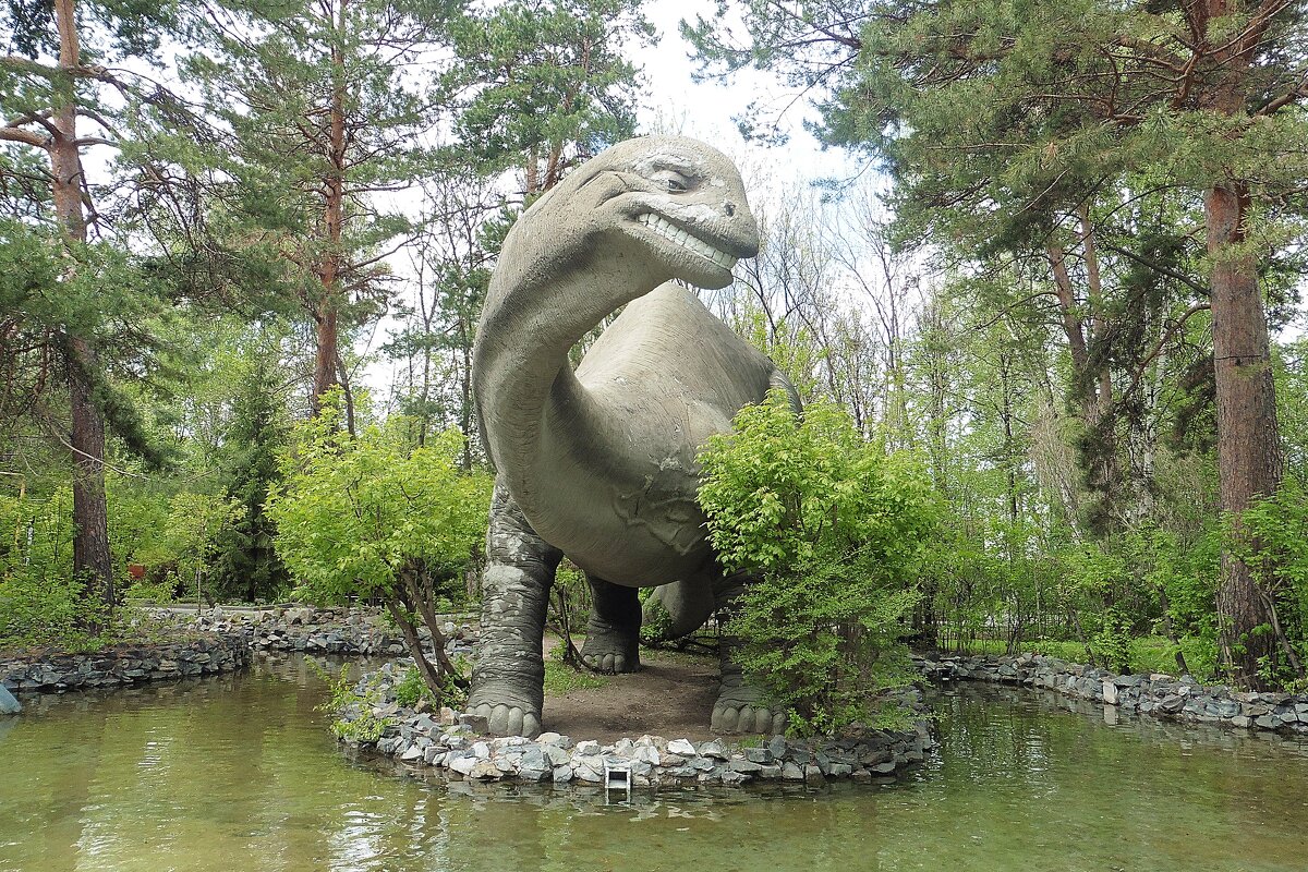 Новосибирский зоопарк - Лидия Бусурина Новосибирский зоопарк - Лидия Бусурина