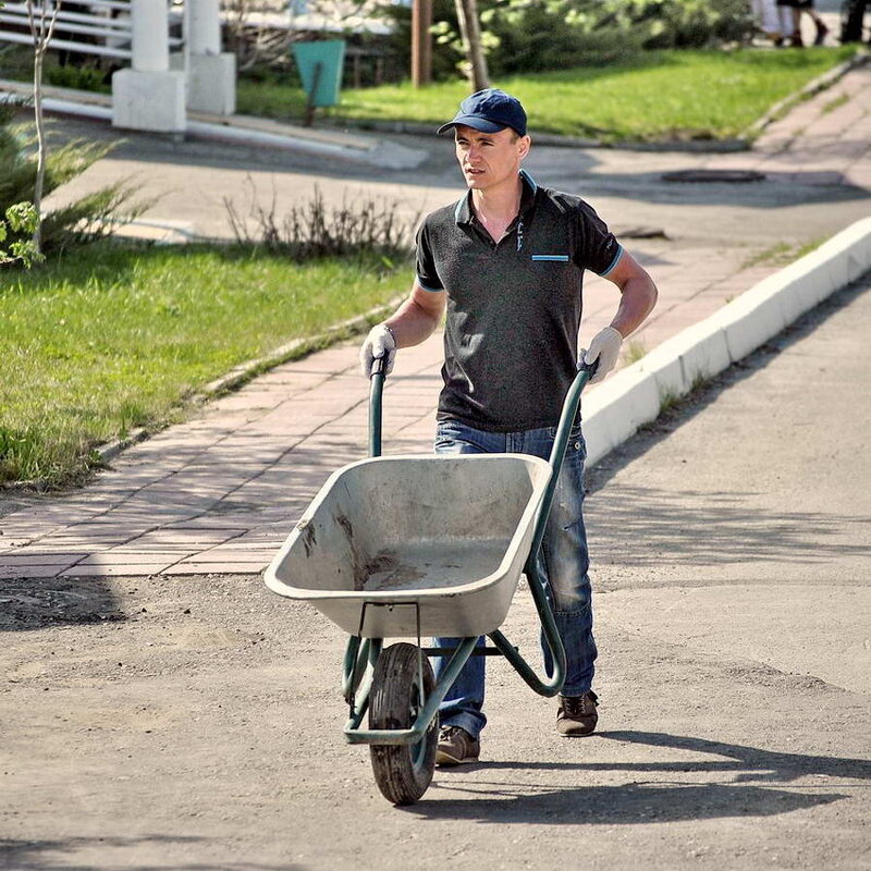 Экономбайк. - Алексей Бубнов