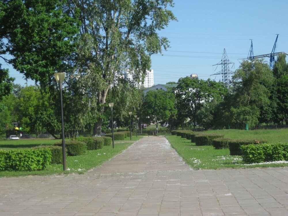 Дорожка в зелени - Дмитрий Никитин