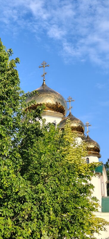 ... - Андрей 