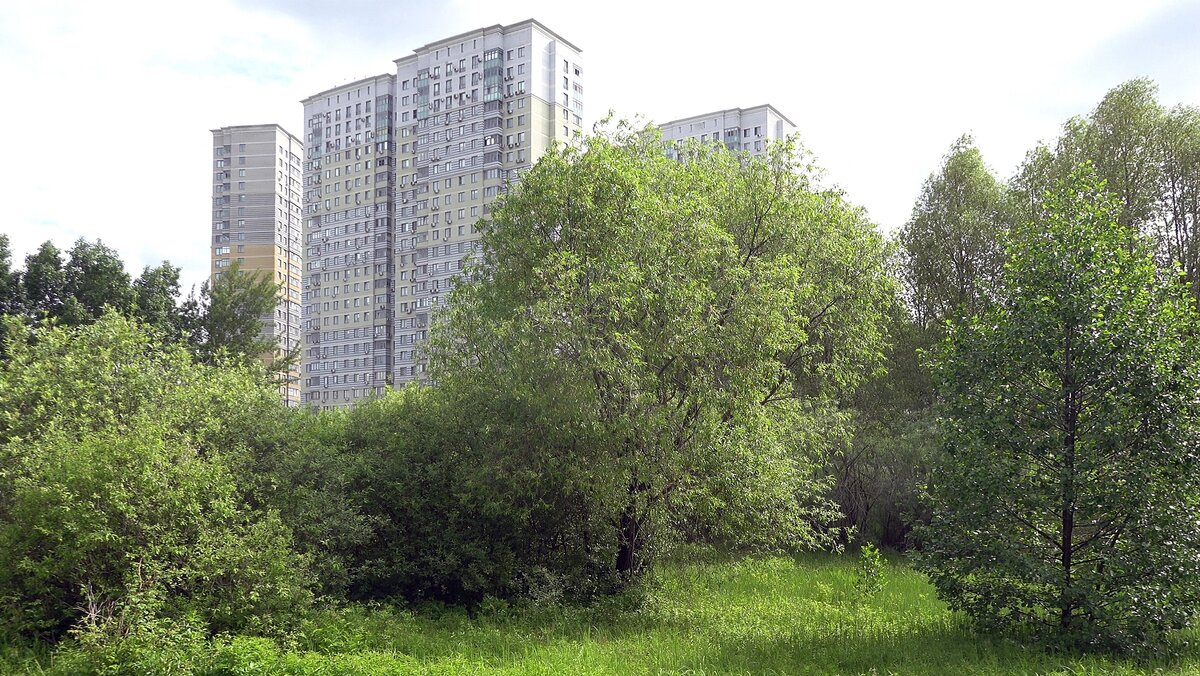 Хорошо жить у городского парка - Валерий Иванович Хорошо жить у городского парка - Валерий Иванович