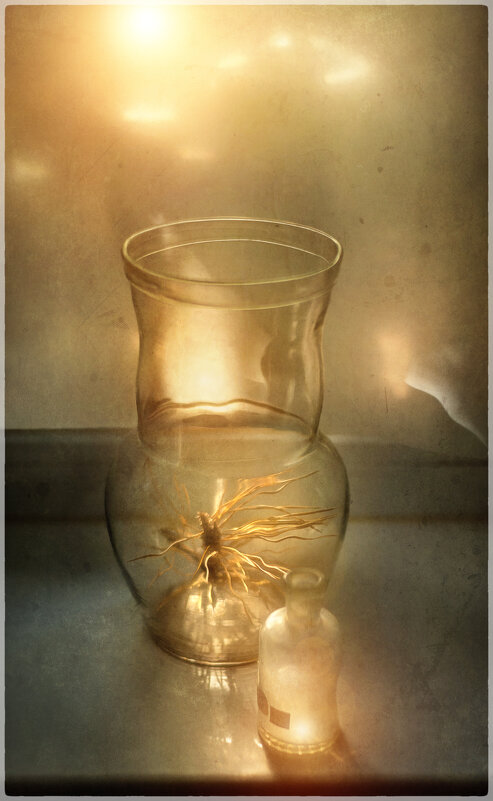 /*/ - Oleg Rastorguev