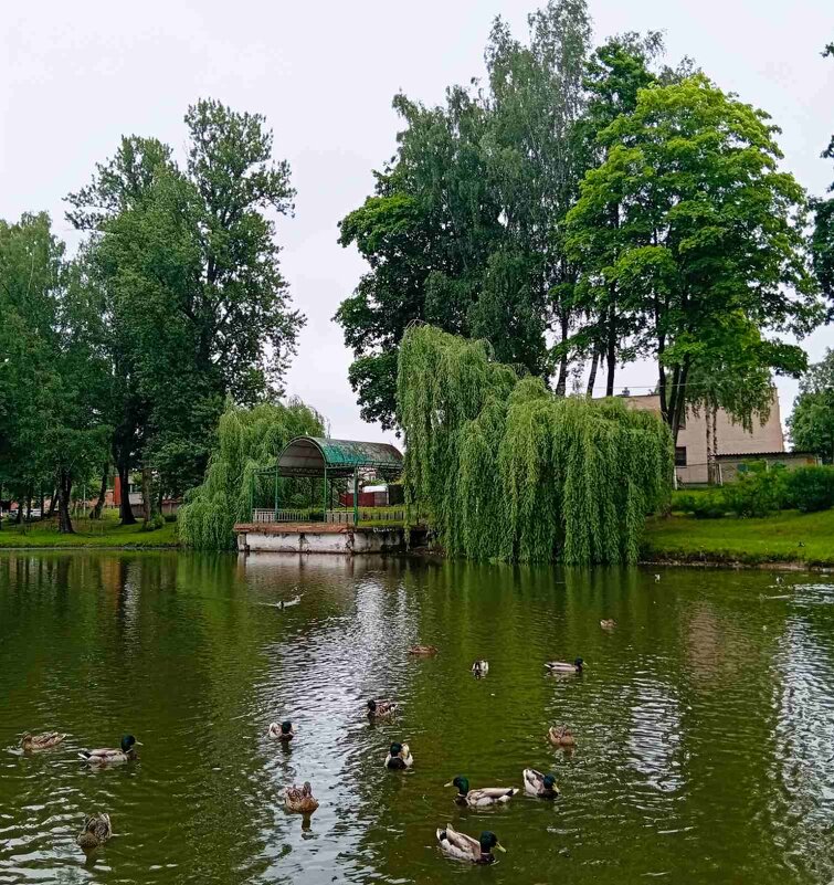 В парке - Галина Бобкина