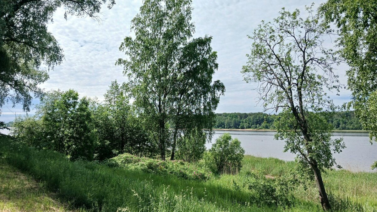 Кировск. Петровский сквер - Наталья Герасимова Кировск. Петровский сквер - Наталья Герасимова