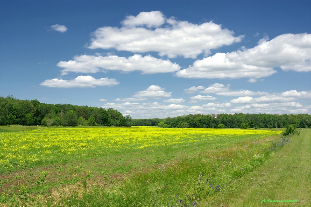 Под небесами июня... - Андрей Заломленков Под небесами июня... - Андрей Заломленков