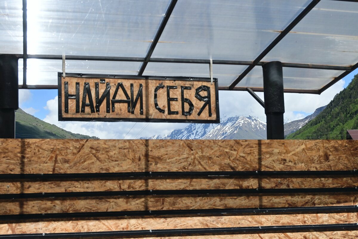 Найди себя в этой жизни - Илья Шенгелия