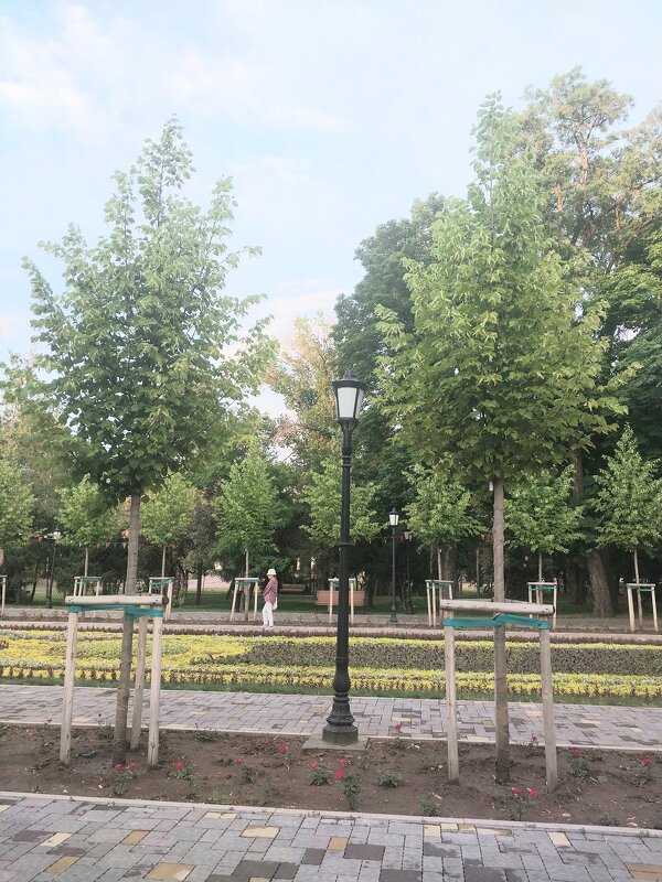 Almaty - Murat Bukaev 