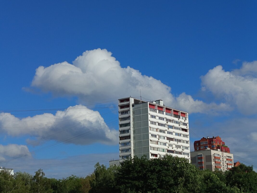 * * * - Андрей Лукьянов * * * - Андрей Лукьянов