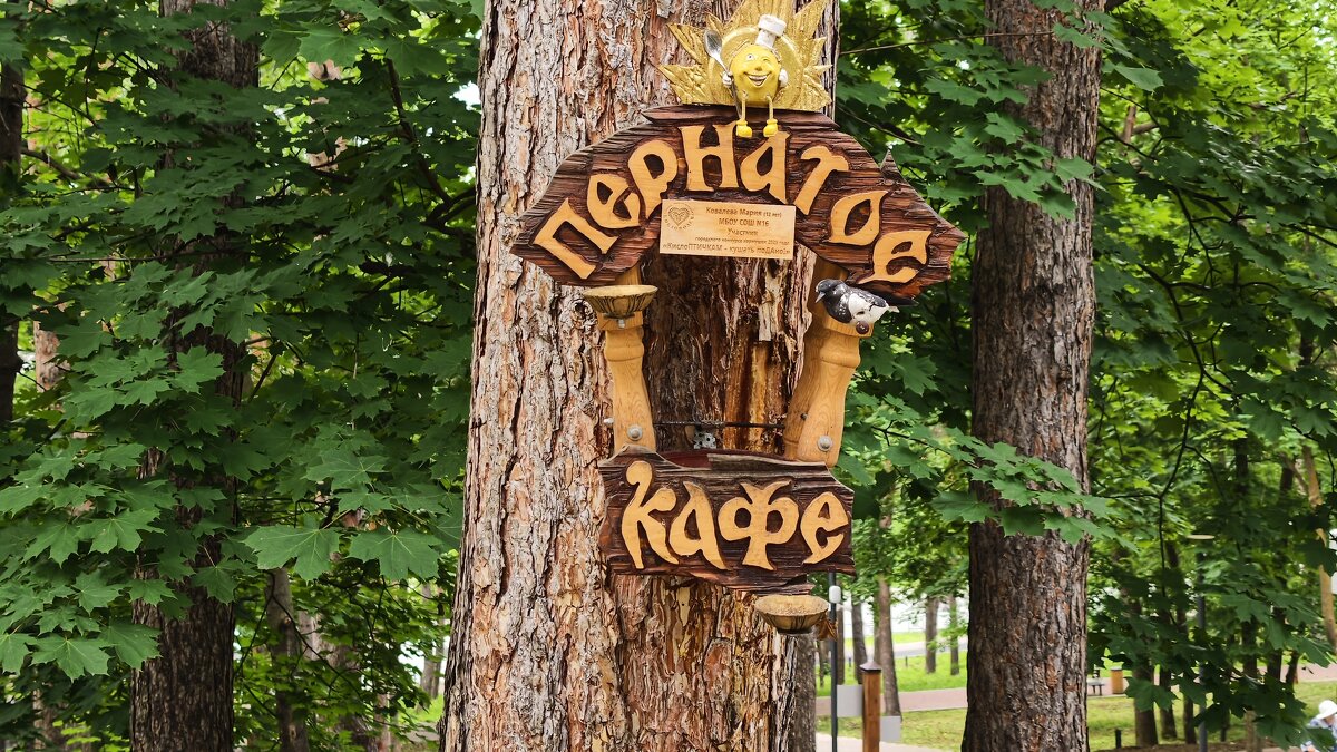 Пернатое кафе в Комсомольском парке - Мариша Тим Пернатое кафе в Комсомольском парке - Мариша Тим