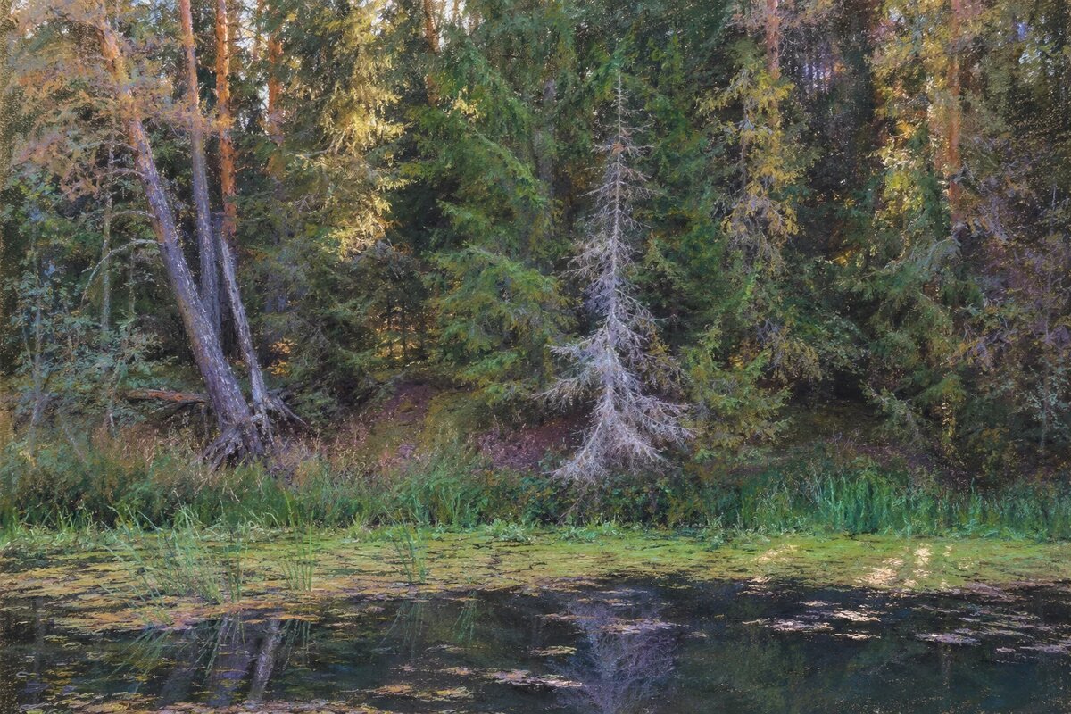 Река Нерль - Денис Бочкарёв