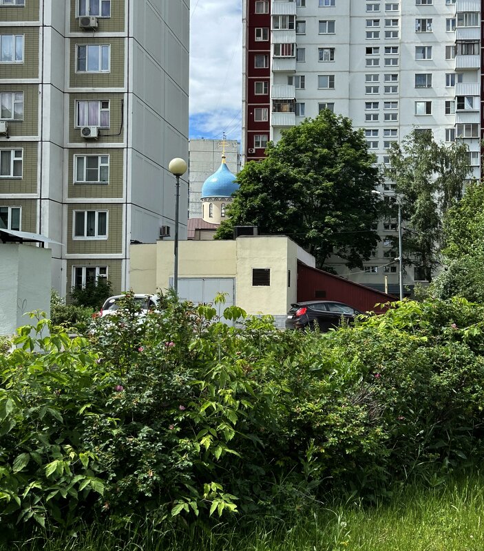 Москва. Зябликово - Олег Москва. Зябликово - Олег