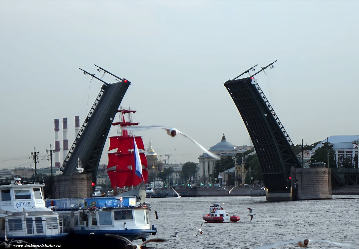 Паруса под Дворцовым мостом - Игорь Корф