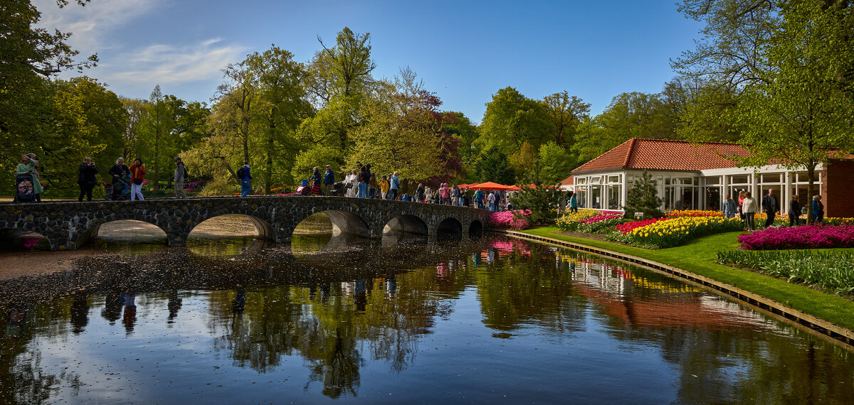 Keukenhof... - Dmitriy Dikikh