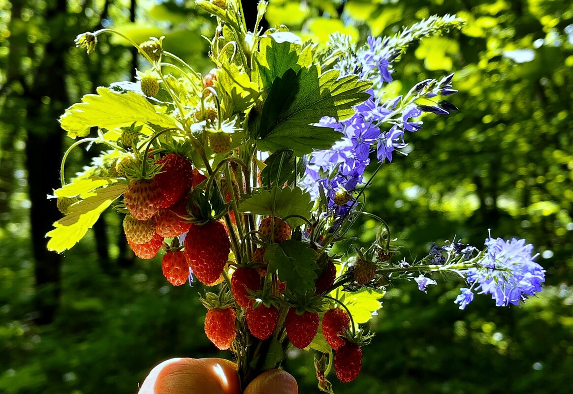Букетик. - Александр Кондаков