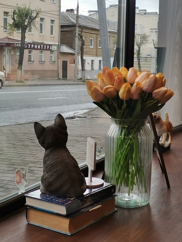"Серенькая кошечка села у окошечка..." - Евгения Куприянова "Серенькая кошечка села у окошечка..." - Евгения Куприянова