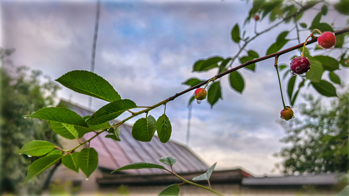 сегодня так - AZ east3