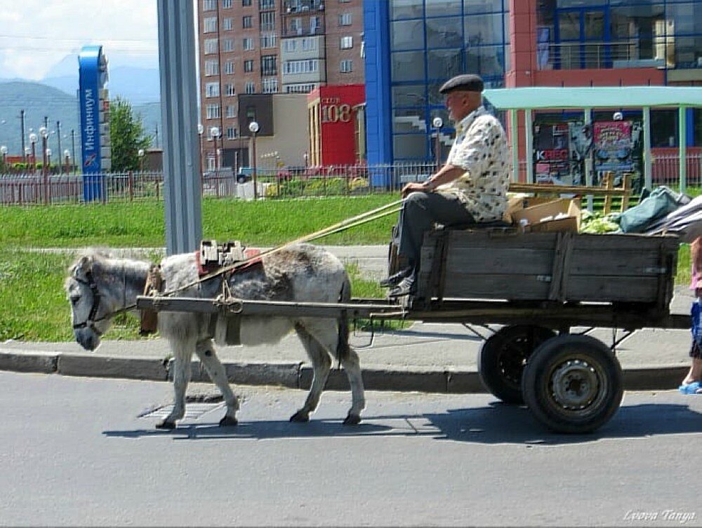 Ослик - Татьяна Львова