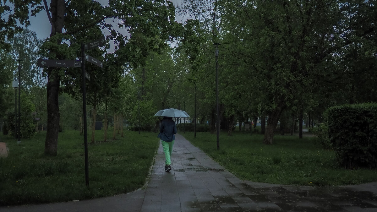 Непогода - юрий поляков