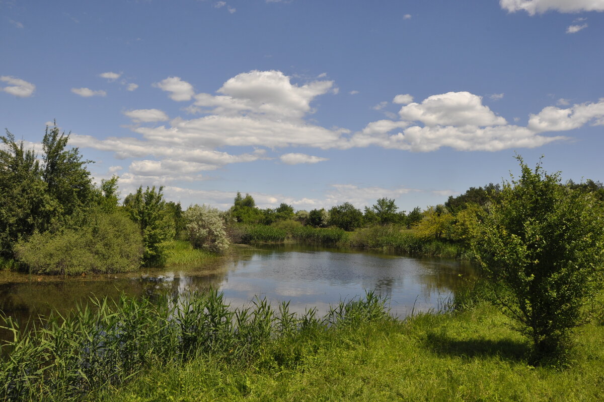 **** - Виктор 