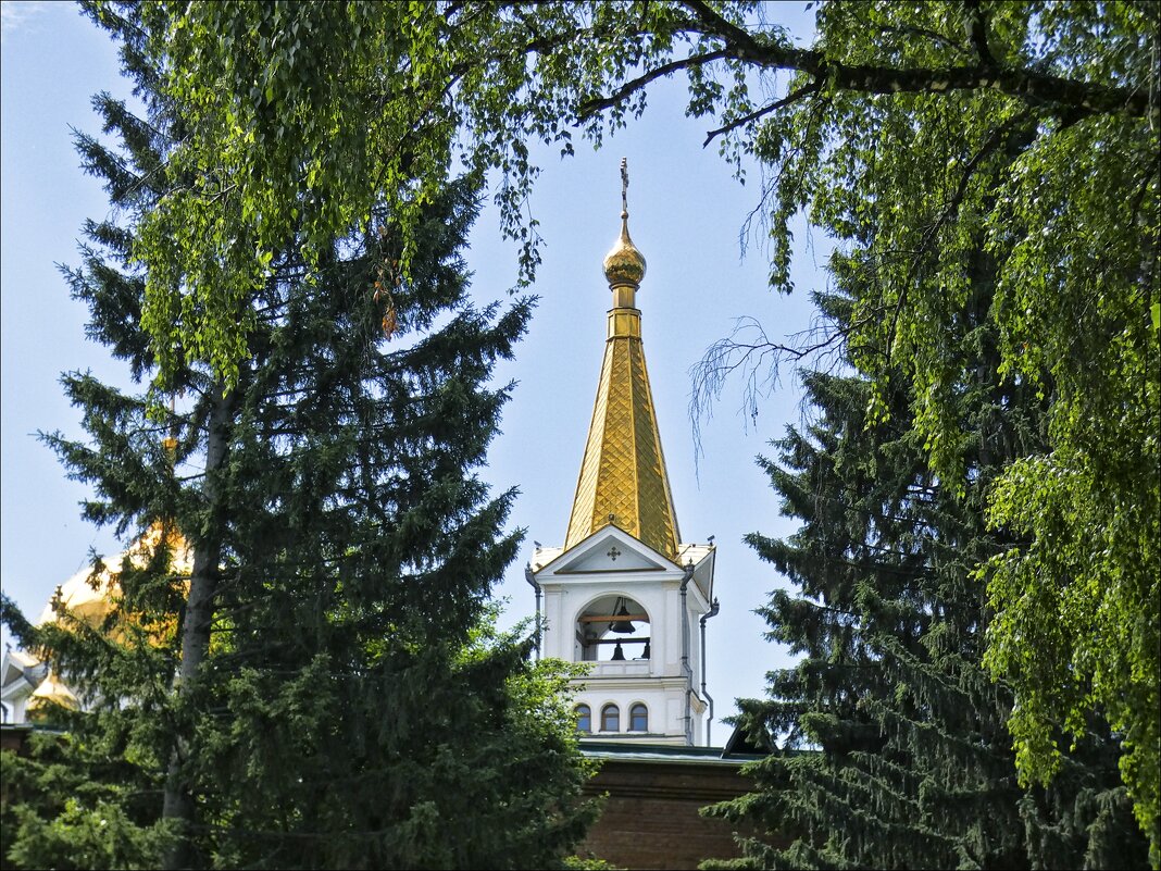 В природной рамке - Валентина *