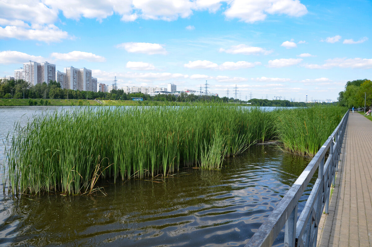 Москва-река - Олег Москва-река - Олег