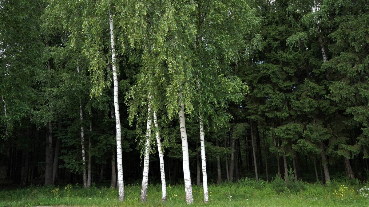*** - Татьяна Тюменка