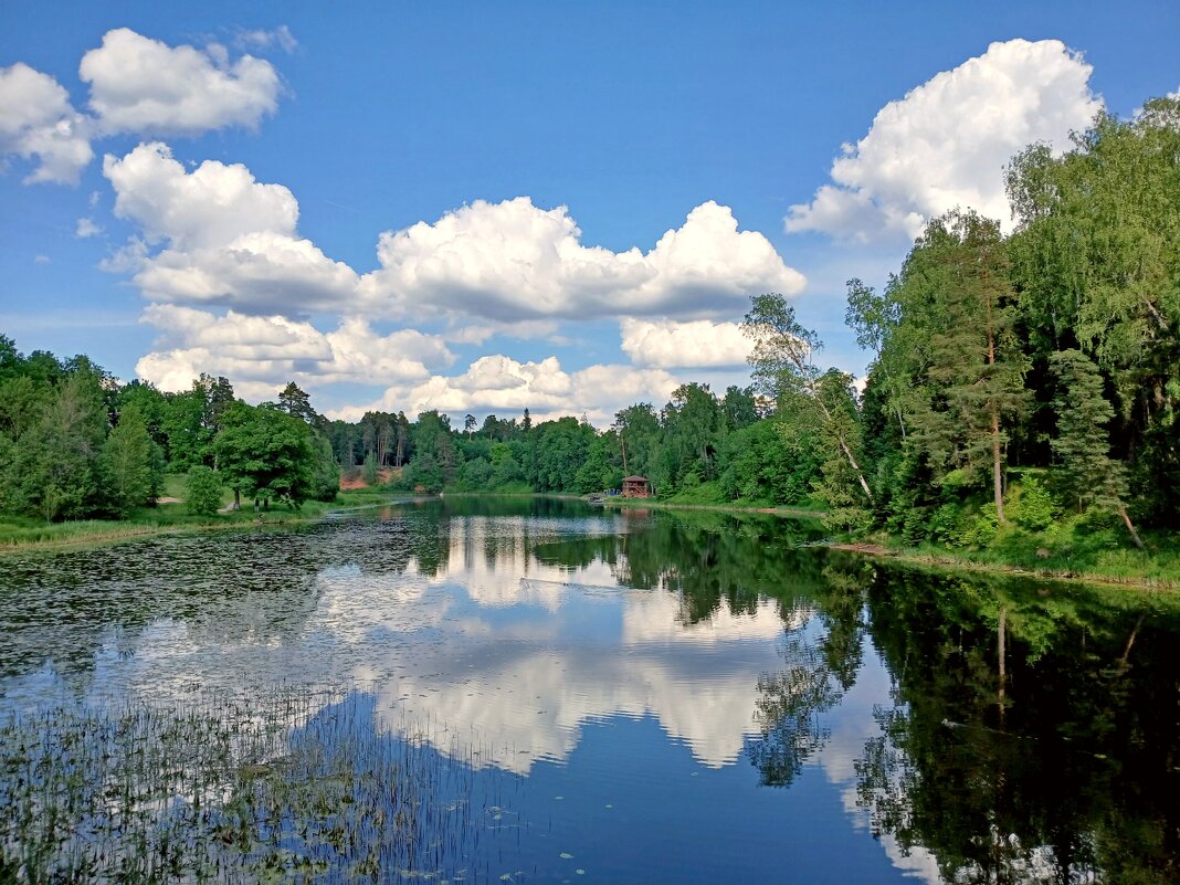 Облака купаются в реке. - Лия ☼ Облака купаются в реке. - Лия ☼