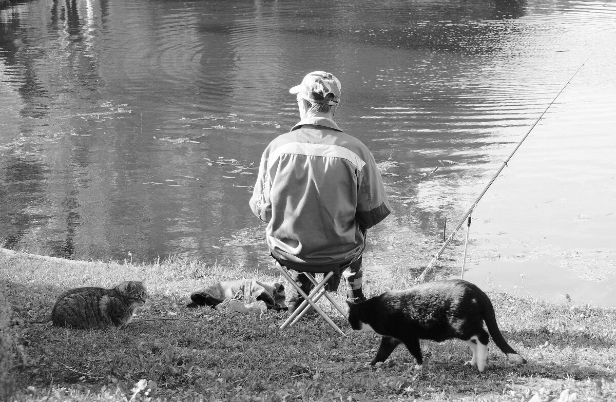 ОЖИДАНИЕ - Виктор Никитенко ОЖИДАНИЕ - Виктор Никитенко