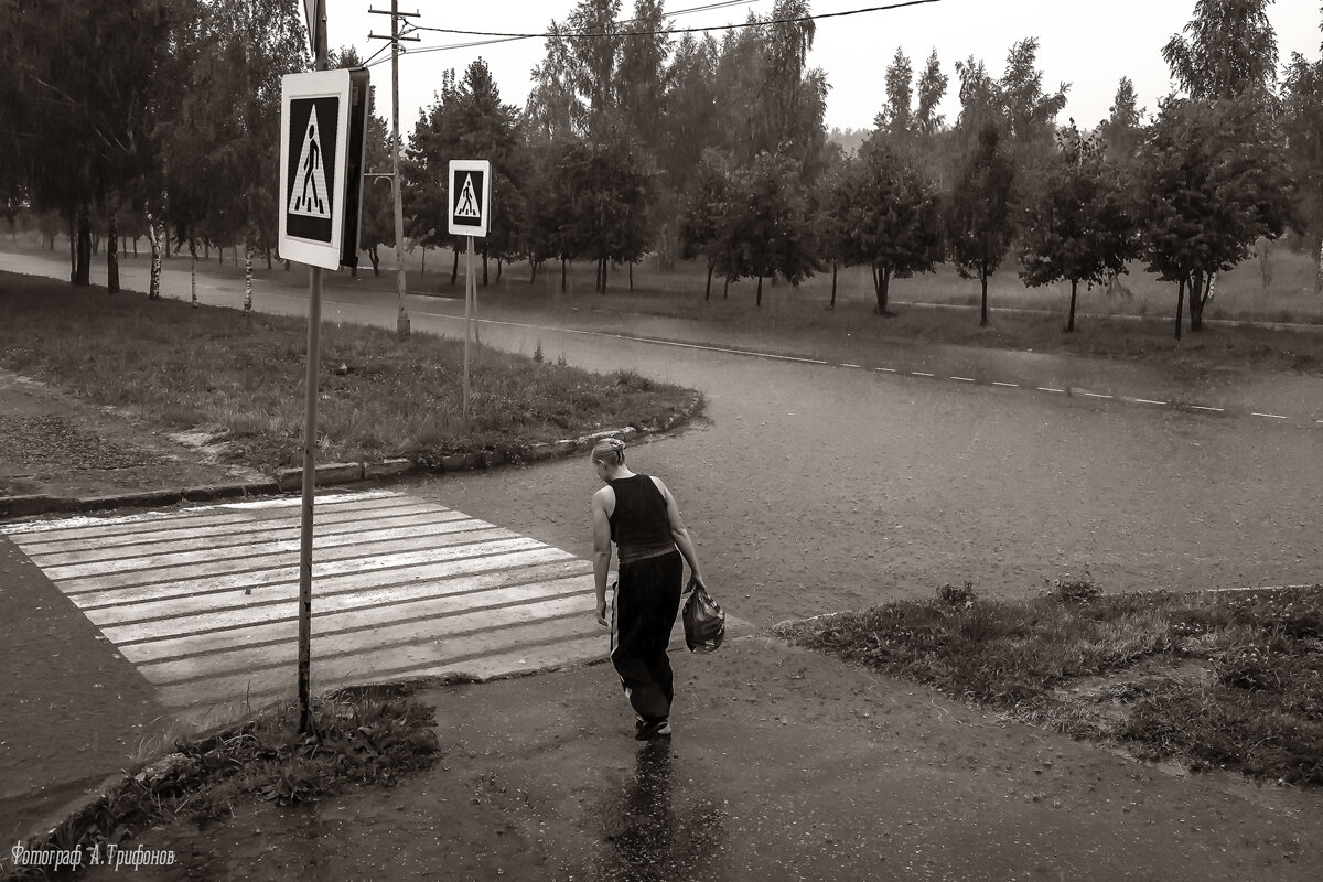 Ливень в Городе - Алексей Трифонов