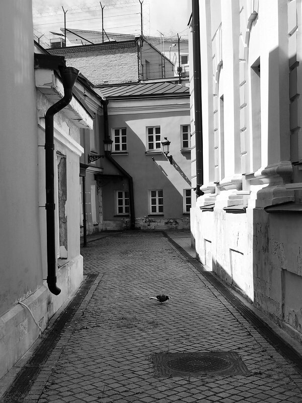 *** - Любимова Ольга 