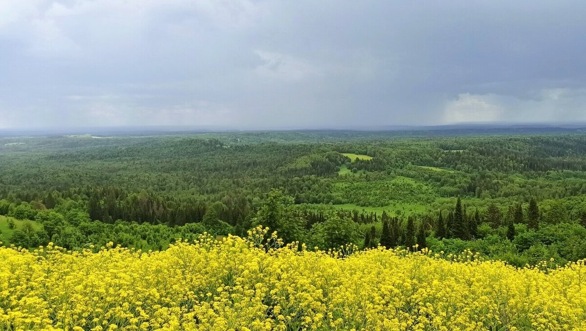 Белогорье - Лариса С.