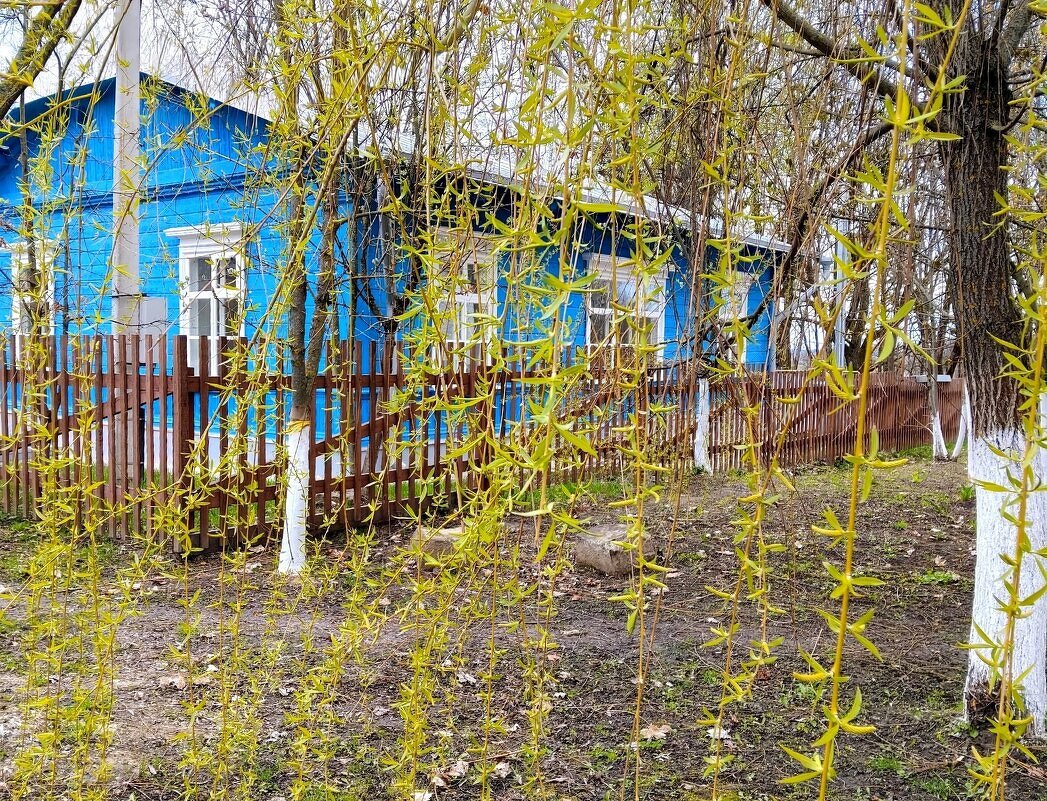 Домик архитектора - Елена Сухорученкова